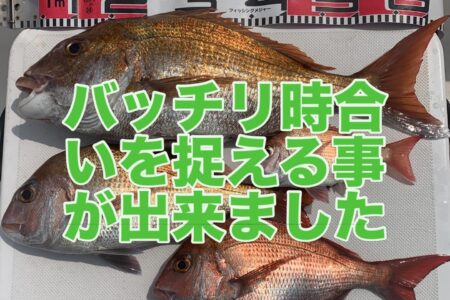 ３月３０日短時間タイラバ調査出港の釣果です🎣