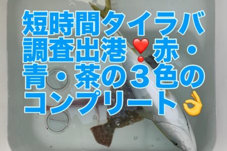 ３月１９日短時間タイラバ調査出港の釣果です🎣