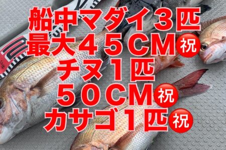３月２２日の釣果です🎣