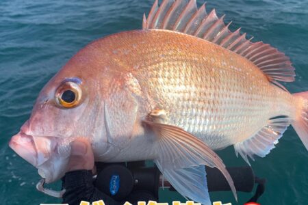 ３月２１日の釣果です🎣