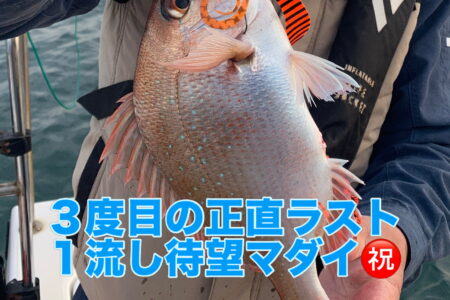 ３月８日の釣果です🎣