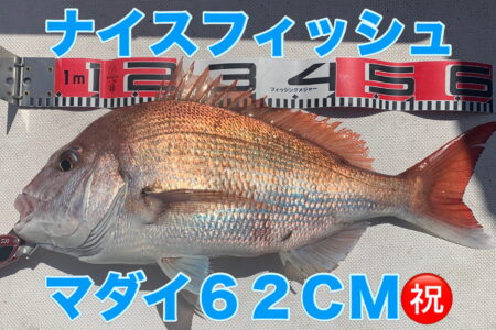 ３月１６日の釣果です🎣