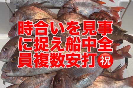 ４月２７日の釣果です🎣