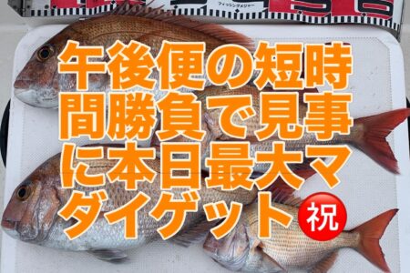 ４月１２日午後便２ラウンド目の釣果です🎣