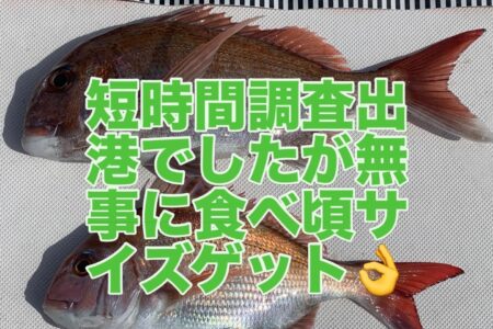 ４月３日のタイラバ調査＆YouTube動画撮影出港🎣🎥