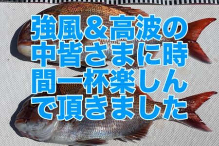 ４月１１日の釣果です🎣