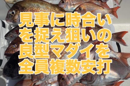 ５月２２日の釣果です🎣