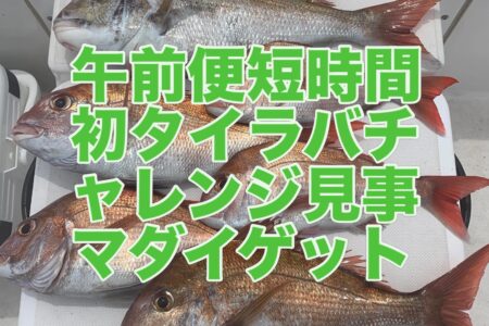 ５月２４日の釣果です🎣