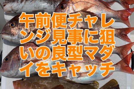 ５月２３日の釣果です🎣
