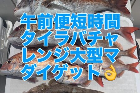 ５月３１日午前便１ラウンド目の釣果です🎣