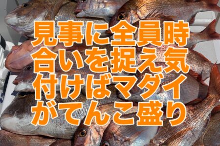 ５月１１日の釣果です🎣🦑