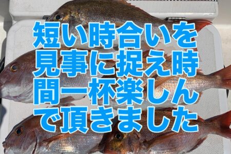 ５月１９日の釣果です🎣
