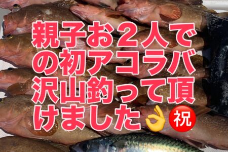 ５月９日の釣果です🎣🦑