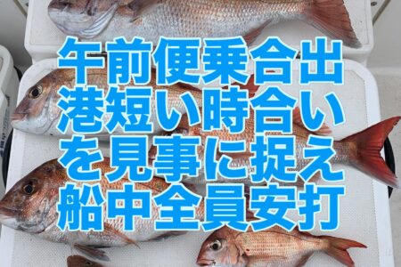 ６月１６日午前便の釣果です🎣