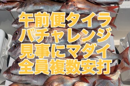 ６月１２日午前便の釣果です🎣