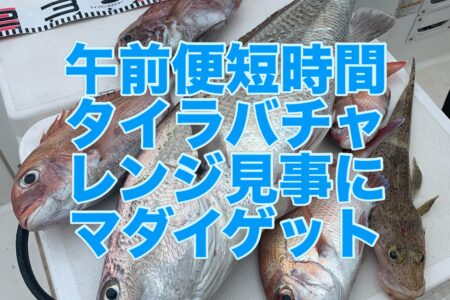 ６月８日午前便の釣果です🎣