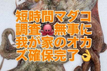 ６月 4日  船の定期メンテナンス完了🛥️💨🐙