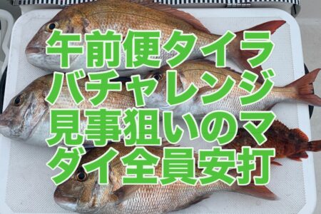 ６月２０日午前便の釣果です🎣