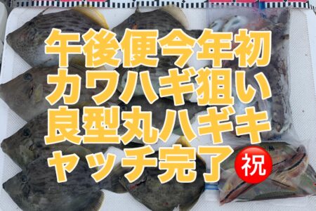 ６月２１日午後便の釣果です🎣