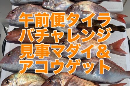 ７月１１日午前便の釣果です🎣