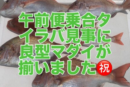 ７月２０日午前便の釣果です🎣