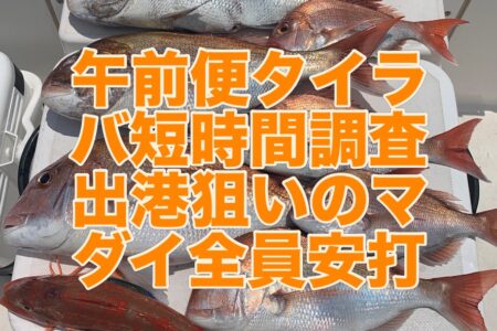 ７月１７日午前便タイラバ短時間調査出港の釣果です🎣