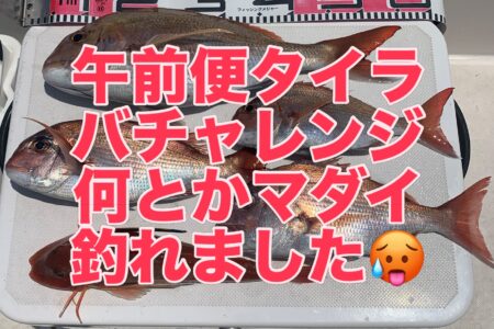 ７月２５日午前便１ラウンド目の釣果です🎣