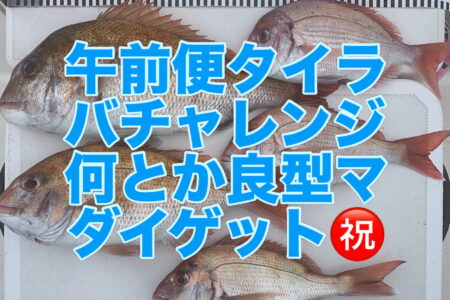 ７月６日午前便の釣果です🎣