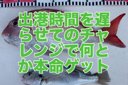 ７月２日の釣果です🎣