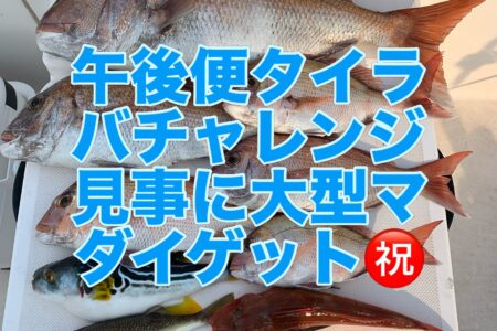 ７月１９日午後便２ラウンド目の釣果です🎣