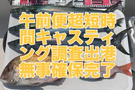 ７月２１日午前便『超短時間サゴシキャスティング』の釣果です🎣