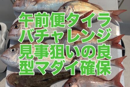 ８月３１日午前便の釣果です🎣