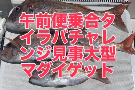 ８月２５日午前便の釣果です🎣