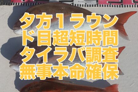 ８月２２日１ラウンド目の超短時間調査出港🛥️💨