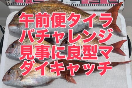 ８月１０日午前便の釣果です🎣