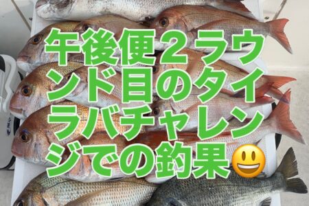 ８月１５日午後便２ラウンド目の釣果です🎣