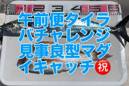 ８月３０日午前便の釣果です🎣