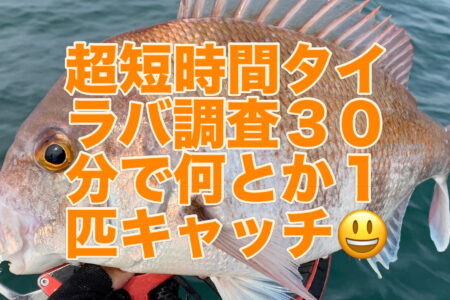 ８月２９日２ラウンド目の超短時間調査出港🛥️💨