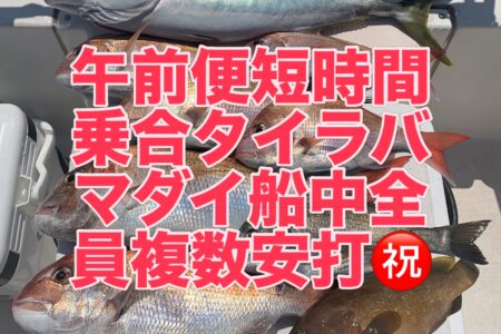 ８月５日の釣果です🎣
