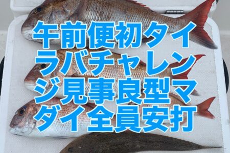 ９月２９日午前便の釣果です🎣