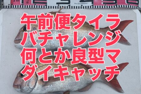 ９月２８日午前便の釣果です🎣