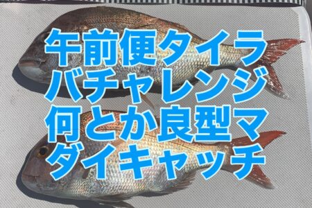 ９月２２日午前便の釣果です🎣