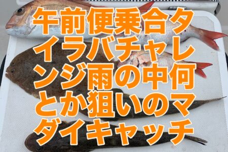 ９月１５日午前便の釣果です🎣