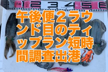 ９月２４日午後便２ラウンド目ティップラン短時間調査出港🦑