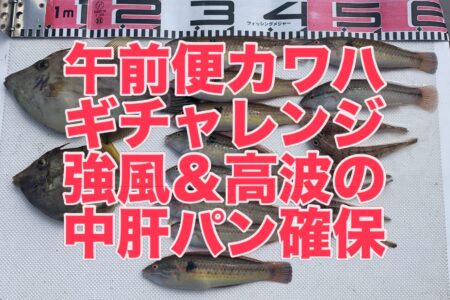 ９月２１日午前便の釣果です🎣