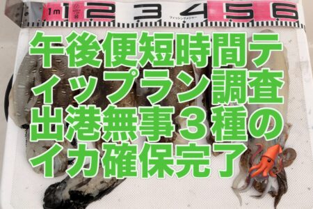 １０月１５日午後便の釣果です🦑