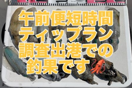 １０月１日ティップラン調査出港の釣果です🦑