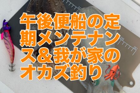 １０月８日午後便 船の定期メンテナンス出港🛥️💨🦑