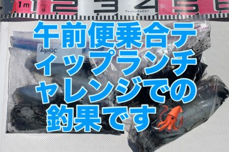 １０月６日午前便の釣果です🦑