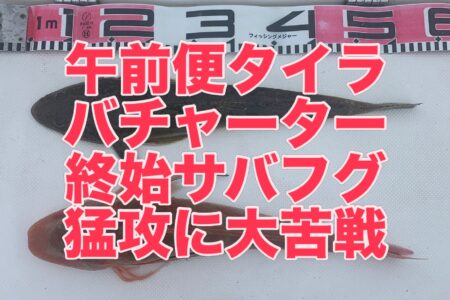 １０月４日午前便の釣果です🎣